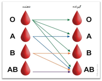 گروههای خونی و تعیین گروه خونی