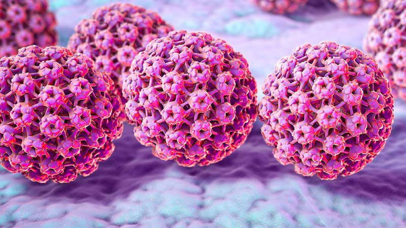 پیشگیری و پیگیری درمان در HPV