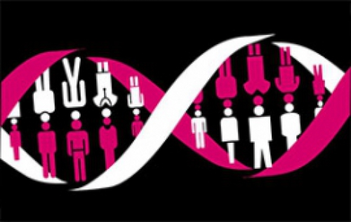 غربالگری ژنتیکی سرطان پروستات